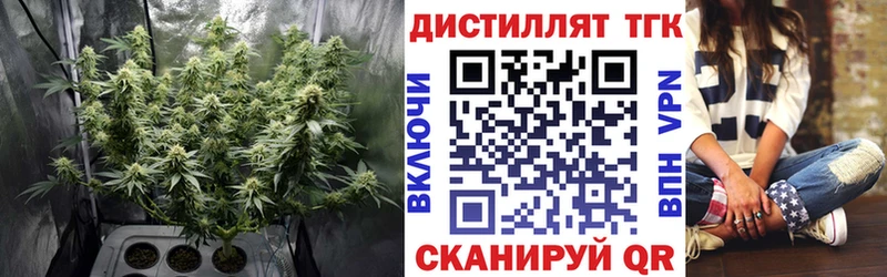 OMG   Джанкой  shop официальный сайт  ТГК Wax 