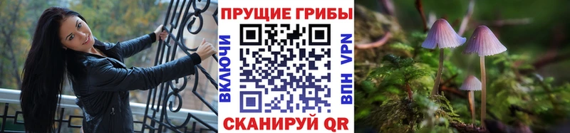 Галлюциногенные грибы ЛСД цены Джанкой
