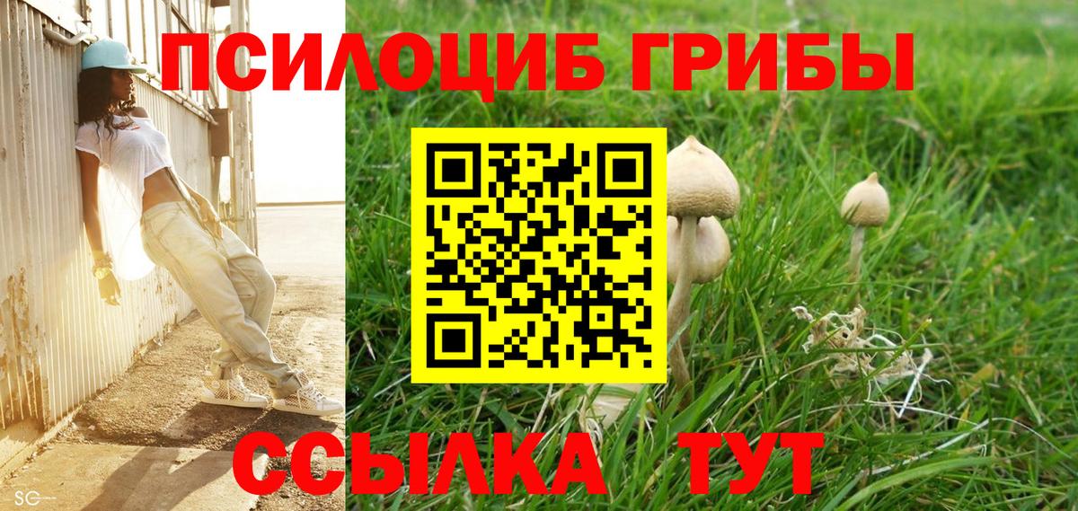 Псилоцибиновые грибы MAGIC MUSHROOMS Джанкой